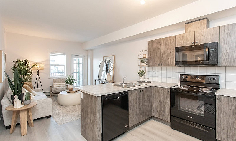 1 Bedroom Apartment ...