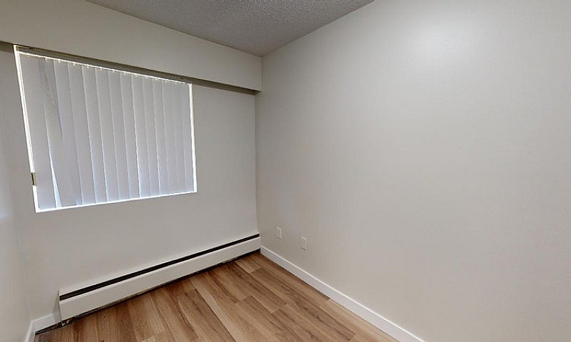Apartment For Rent A...