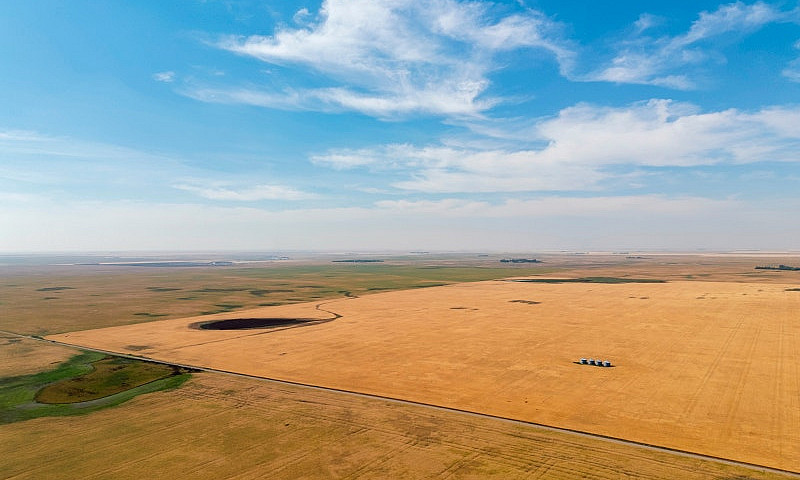 Farmland For Sale By...