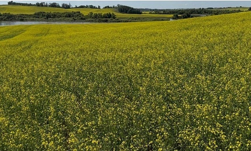 Gauthier Farm Keys R...