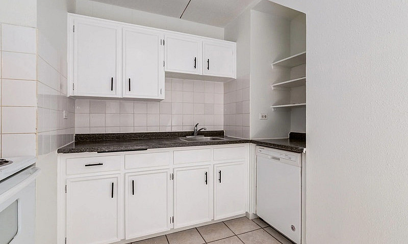 Newly Renovated Suit...