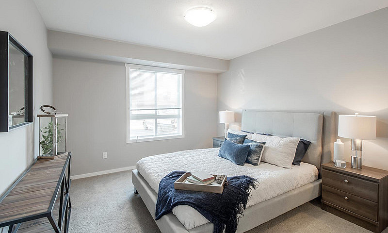 Pet-Friendly One Bed...
