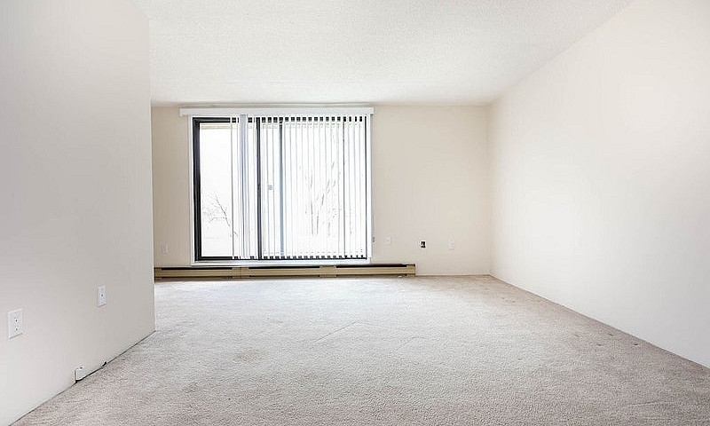 21 Roslyn Road - 2 B...