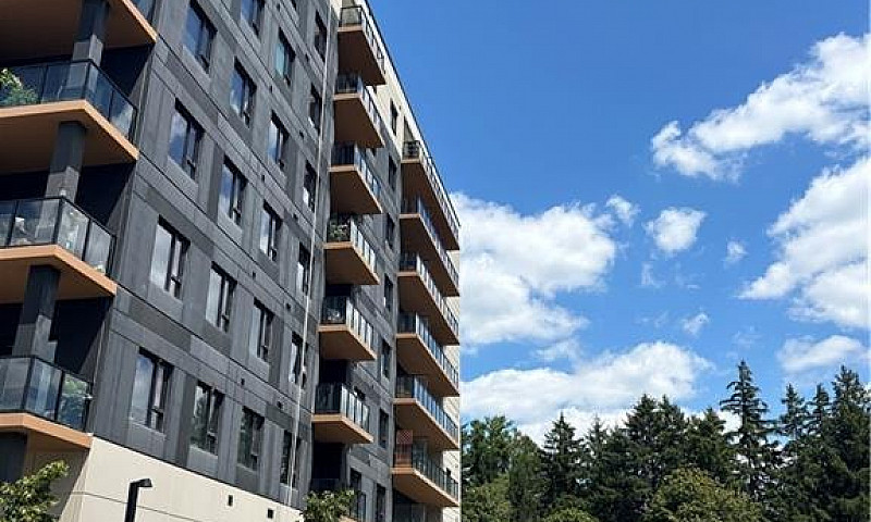 525 New Dundee Road ...