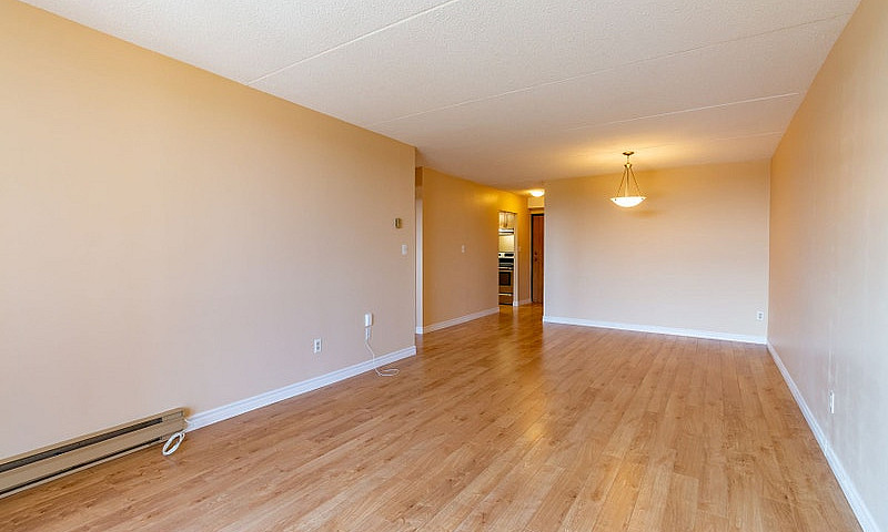 1 Bedroom Apartment ...