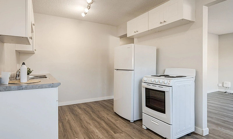 Spacious Apartments ...