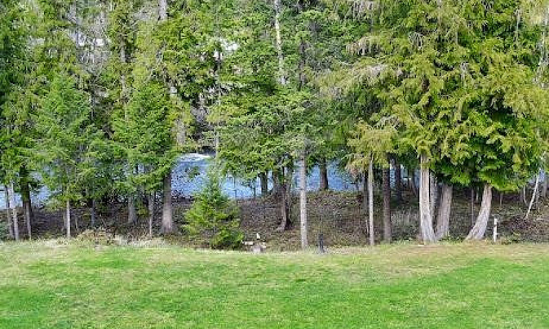 Reduced Price! Priva...