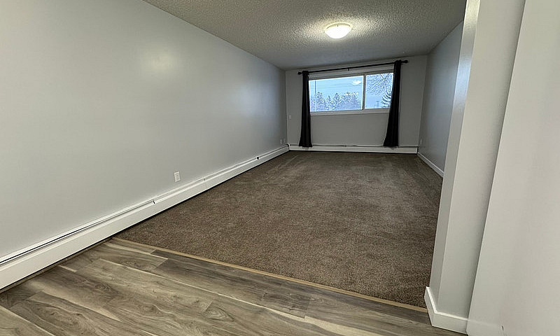 2 Weeks Free Renovat...