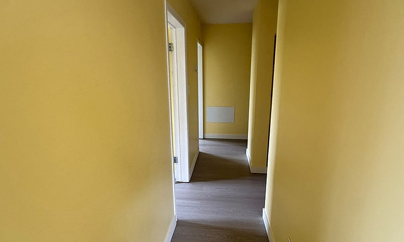 2Bed, 1Bath Apartmen...