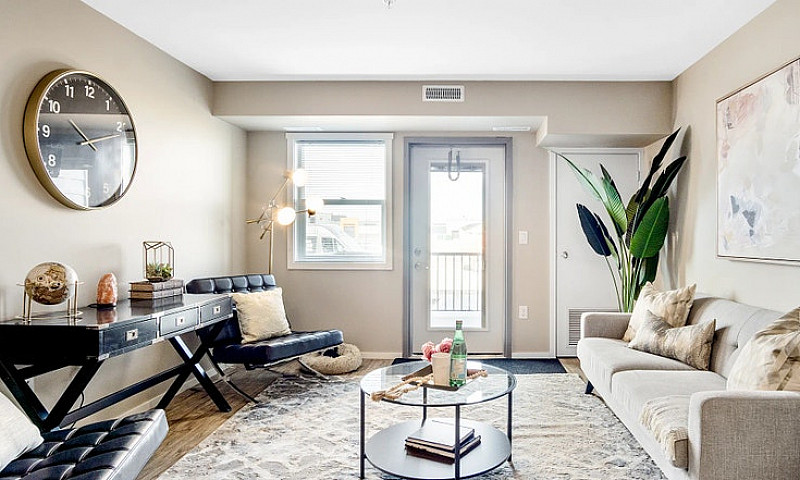 Pet-Friendly Three B...