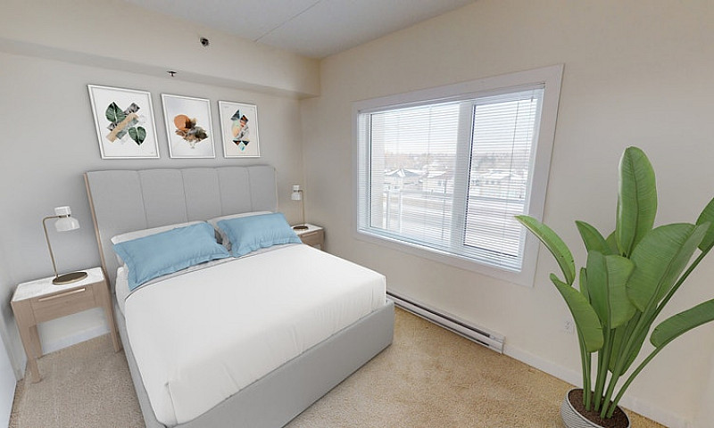 Dalhousie - 1 Bed / ...