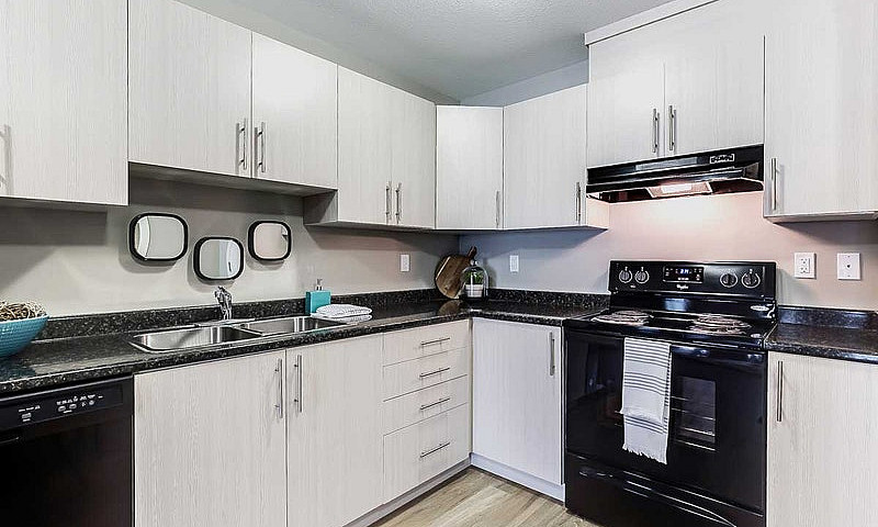 Pet-Friendly Three B...