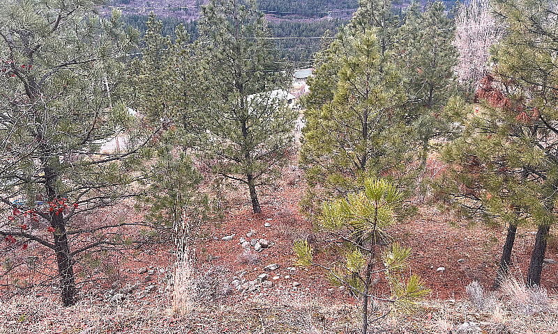 Building Lot In Beau...