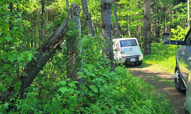 $175,000 - Wood Lot ...