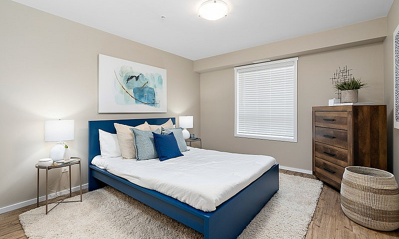 Pet-Friendly One Bed...