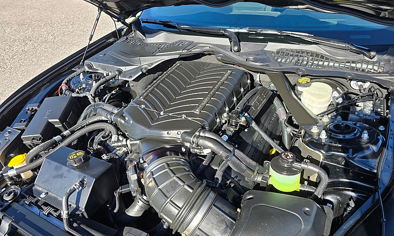 2016 Ford Mustang Sh...