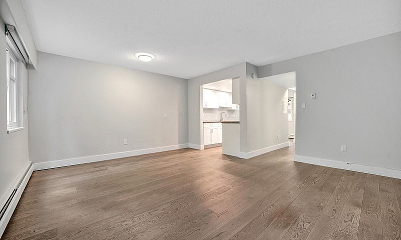 3 Bedroom House For ...