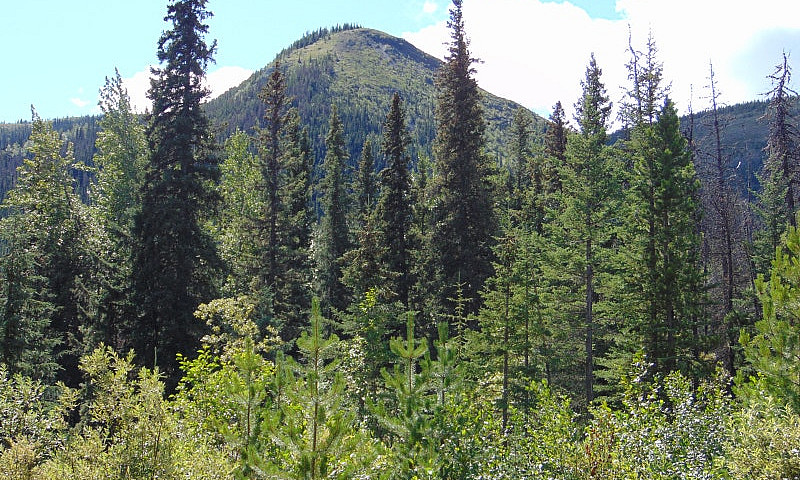 Bc Outfitter Guiding...