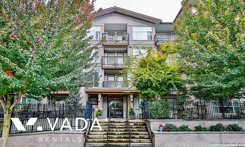Pearl 2 Br Apt Renta...