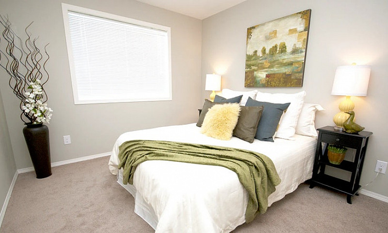 Pet-Friendly Three B...
