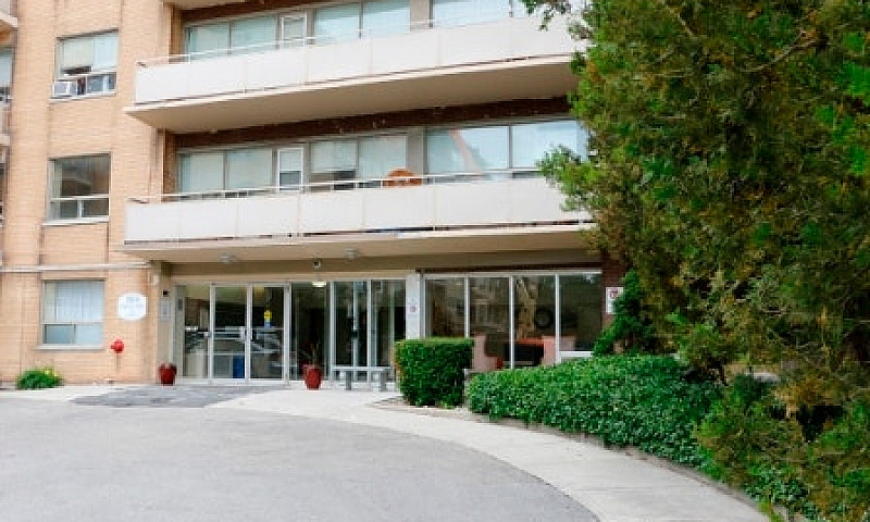1 Bedroom - Renovate...