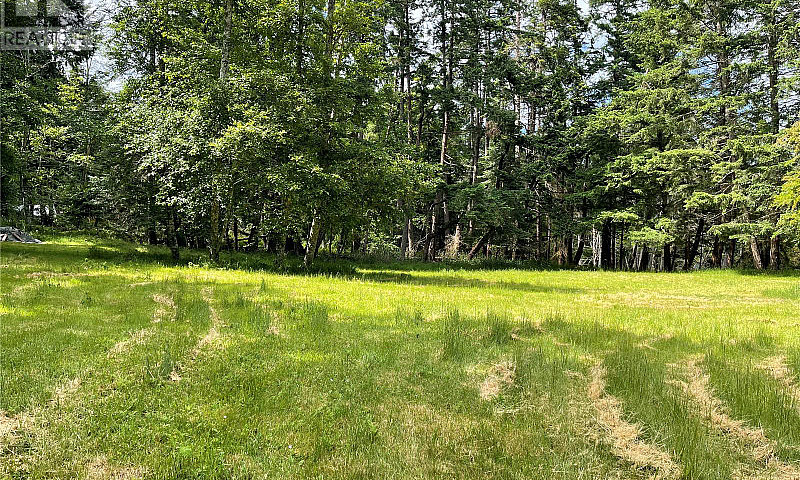 Lot 17 Apple Orchard...