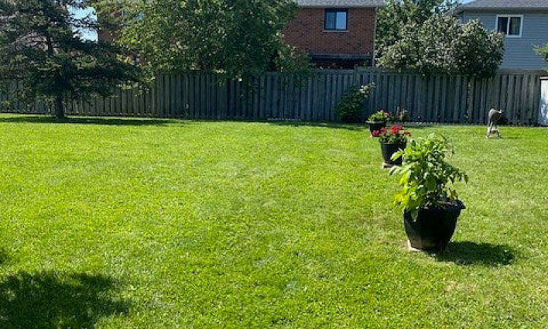 2 Bedroom T/H In Sw ...