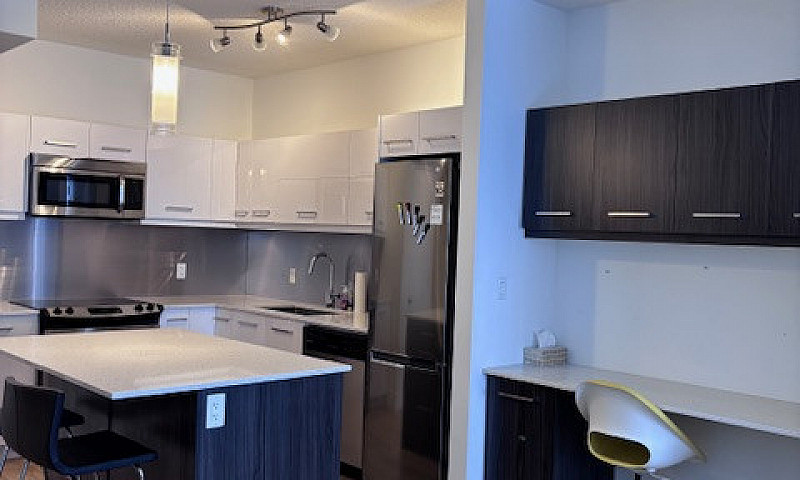Fully Furnished 1+De...