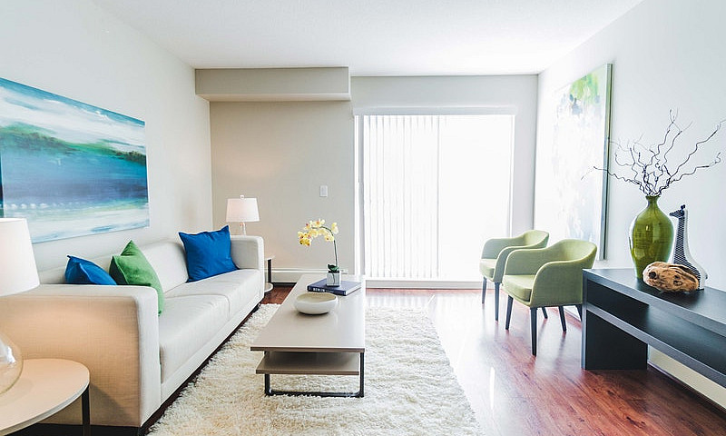 Pet-Friendly Three B...