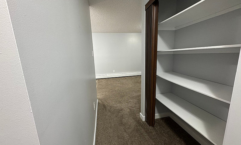 2 Weeks Free Renovat...