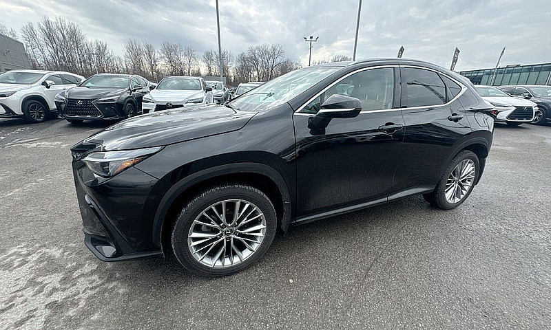 2026 Lexus Nx 350 / ...