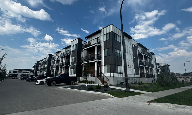 Element Townhomes In...