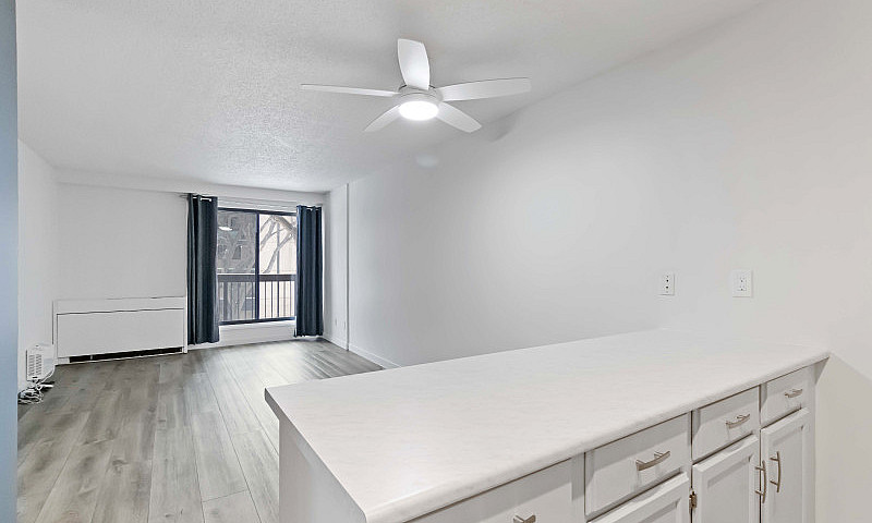 1 Bedroom Suite In W...