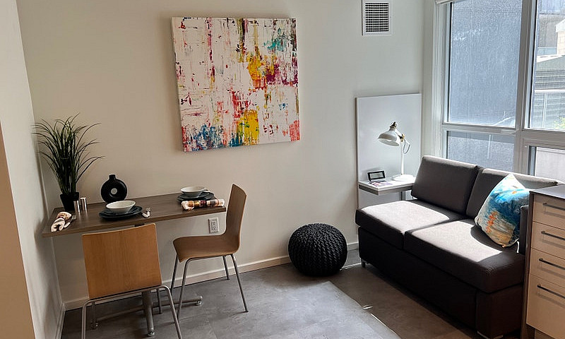Fully Furnished Stud...