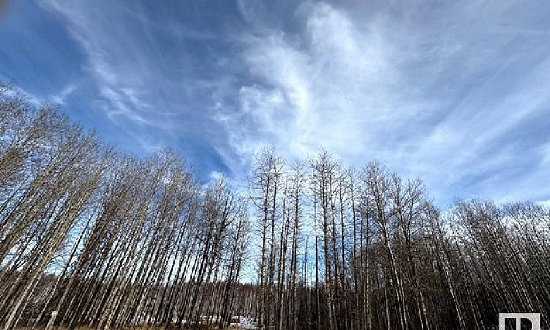 10 Acre Acreage Oasi...