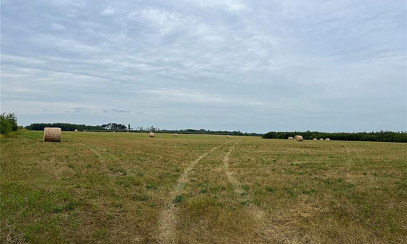 Dorintosh 159 Acres...