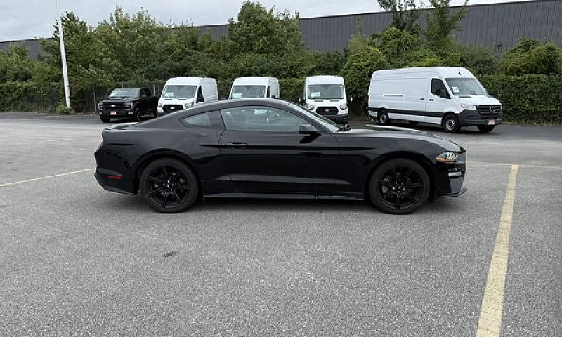 2019 Ford Mustang Ec...