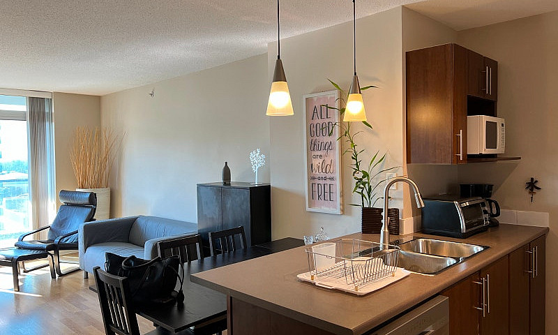 Fully Furnished 1 Be...