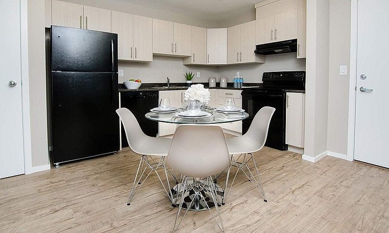Pet-Friendly One Bed...