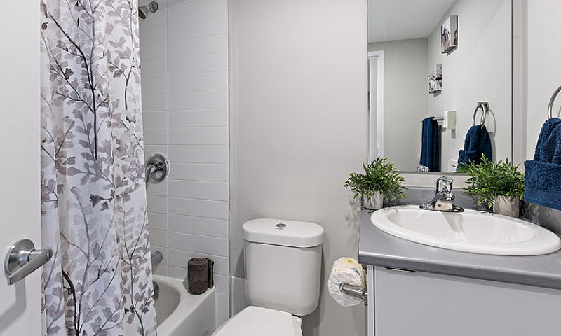 2 Bedroom  Apartment...