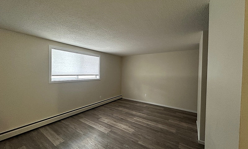1 Bedroom 1 Bath Apa...