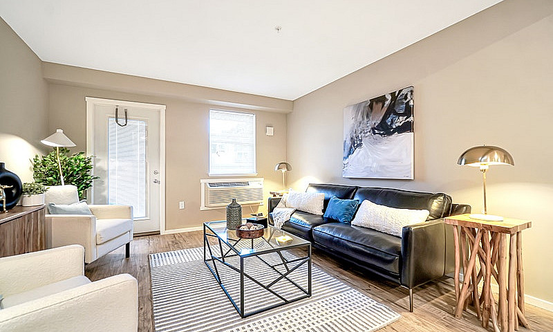 Pet-Friendly One Bed...