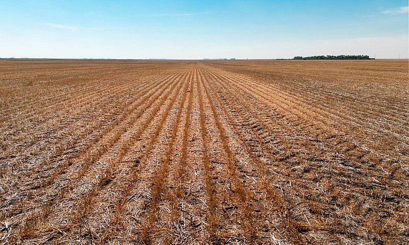 Farmland For Sale By...