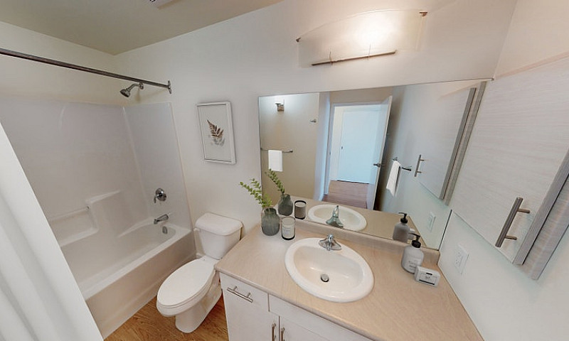 Dalhousie - 1 Bed / ...