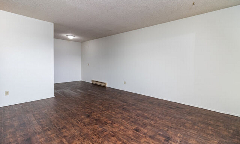 204 16Th St- 1 Bedro...