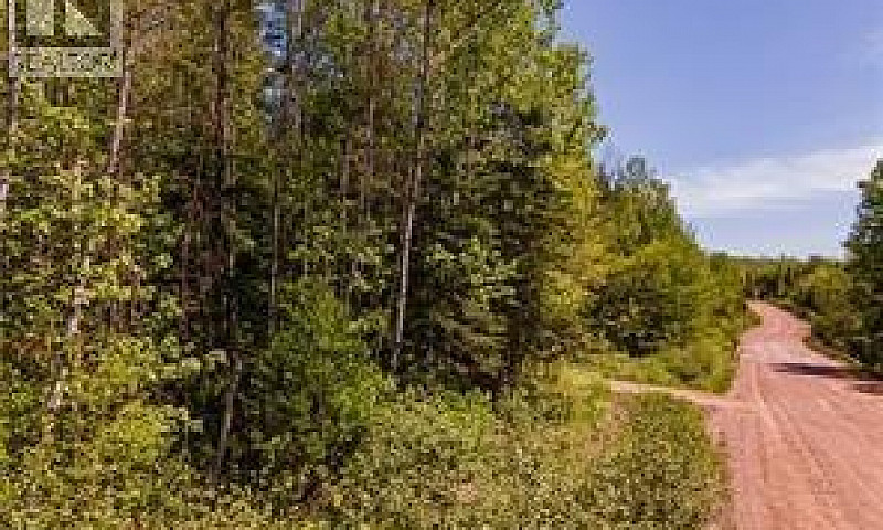 Lot Creek Road Berwi...