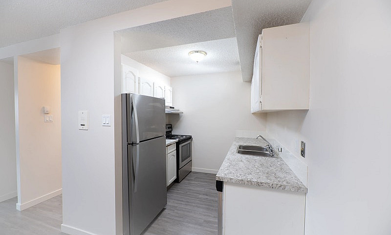 Bachelor, 1 Bedroom ...