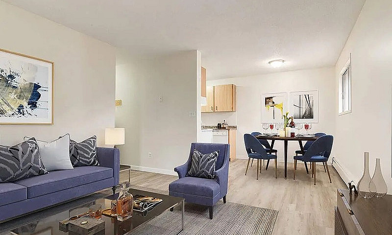 Modern Apartments Wi...