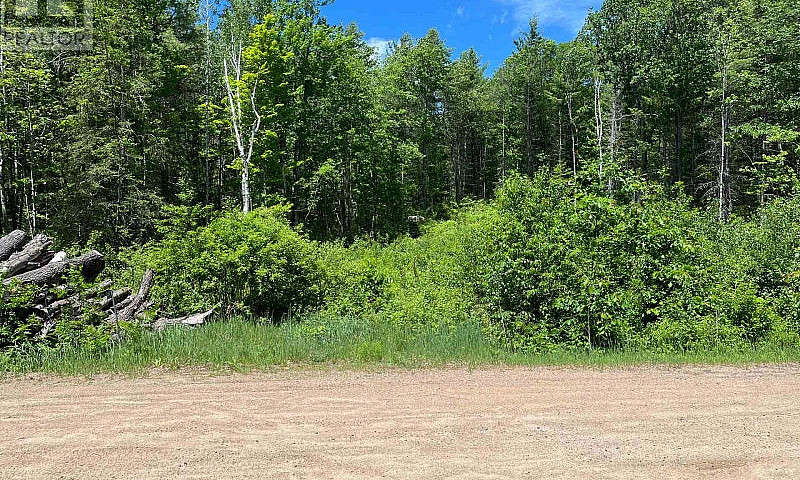 695 Long Lake Road M...