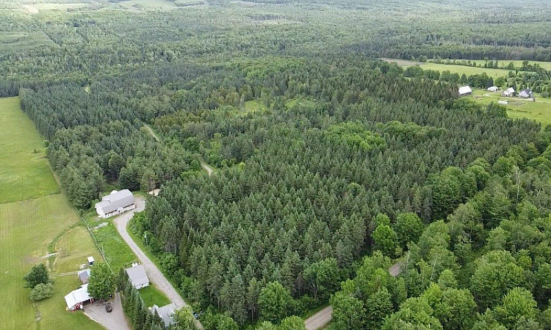 Lingwick(Estrie): Fe...